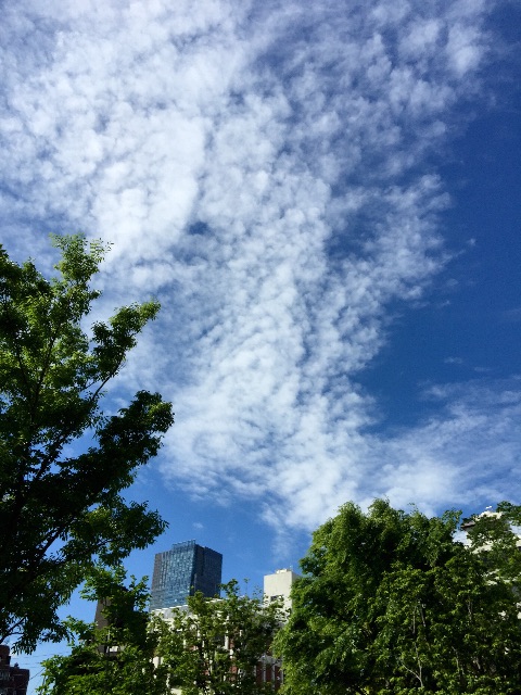 f:id:waxing-and-waning_moon:20150513230454j:image f:id:waxing-and-waning_moon:20150513230454j:image
