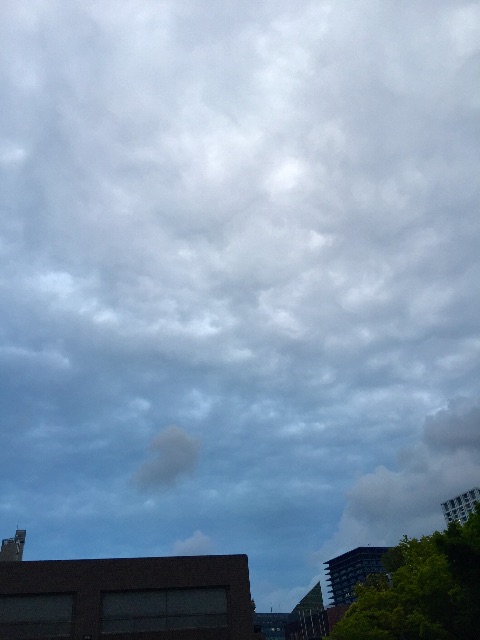 f:id:waxing-and-waning_moon:20150518214021j:image f:id:waxing-and-waning_moon:20150518214021j:image