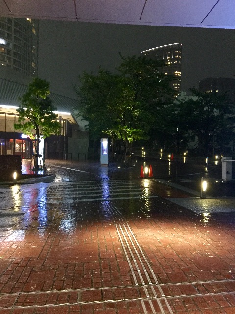 f:id:waxing-and-waning_moon:20150623222631j:image f:id:waxing-and-waning_moon:20150623222631j:image
