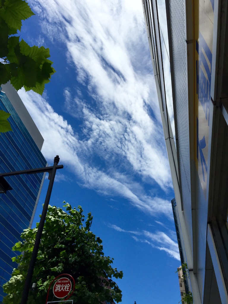 f:id:waxing-and-waning_moon:20150715212951j:image f:id:waxing-and-waning_moon:20150715212951j:image