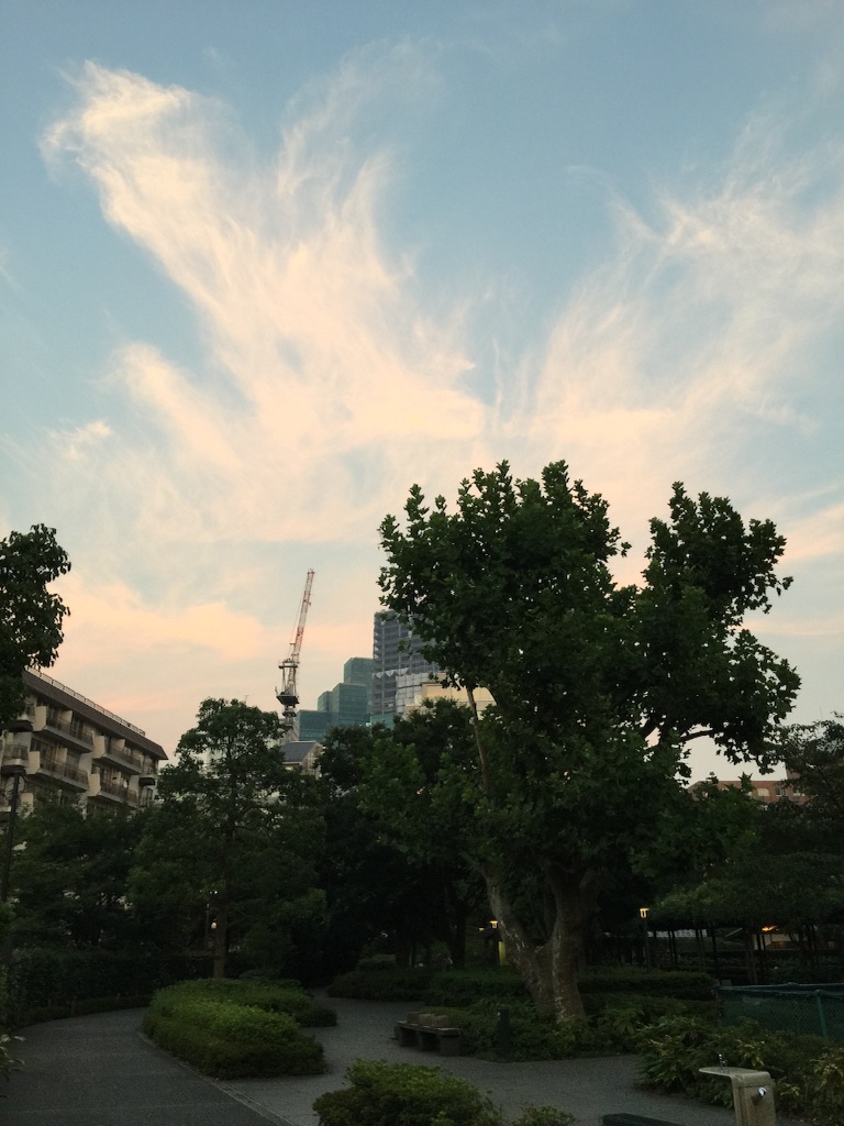 f:id:waxing-and-waning_moon:20150727215302j:image f:id:waxing-and-waning_moon:20150727215302j:image