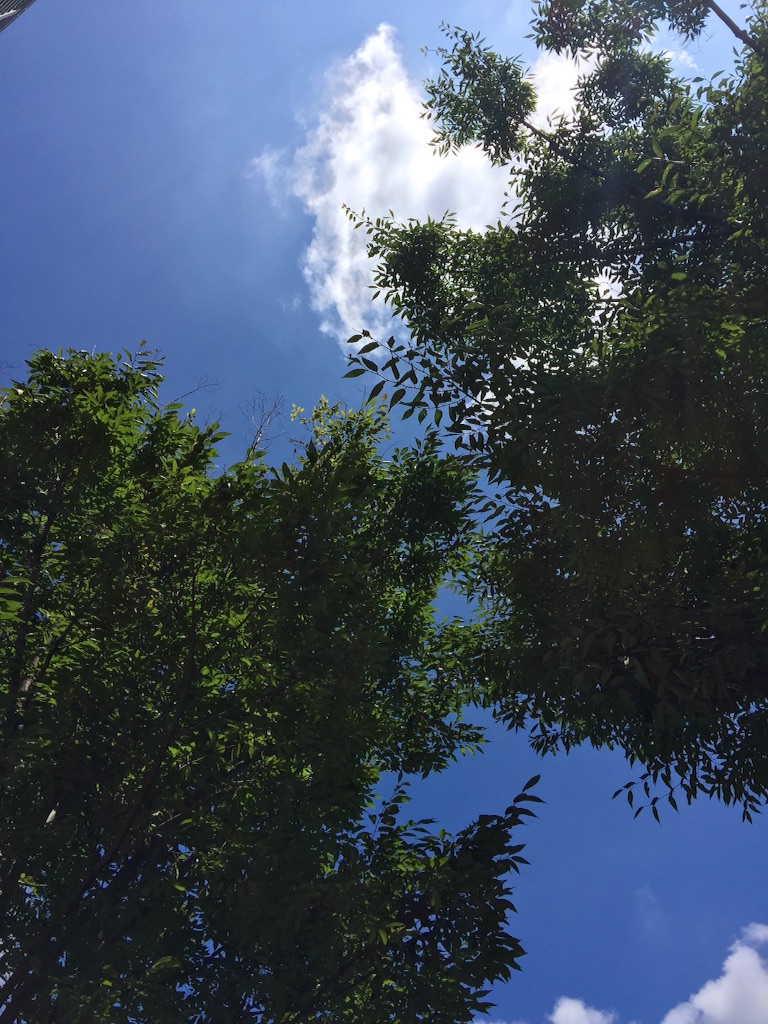 f:id:waxing-and-waning_moon:20150824202920j:image f:id:waxing-and-waning_moon:20150824202920j:image