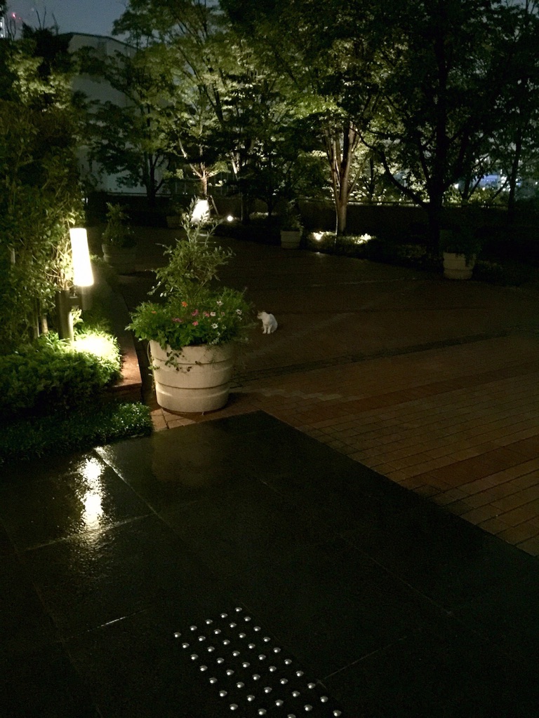 f:id:waxing-and-waning_moon:20150906195233j:image f:id:waxing-and-waning_moon:20150906195233j:image