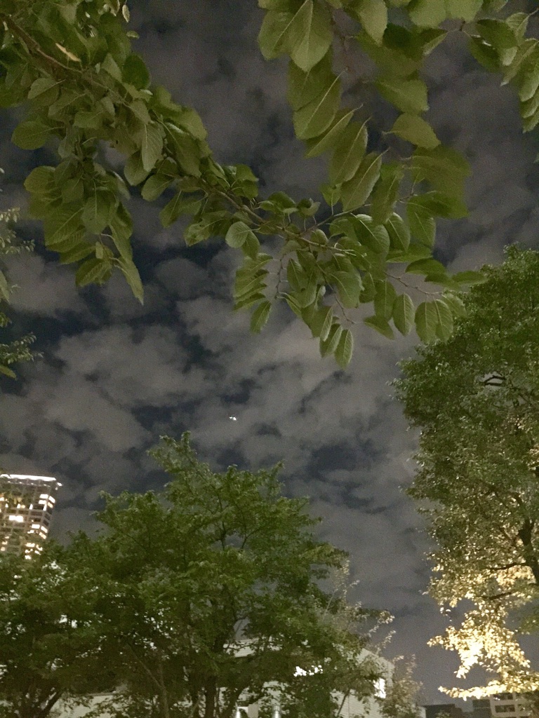 f:id:waxing-and-waning_moon:20150914213443j:image f:id:waxing-and-waning_moon:20150914213443j:image
