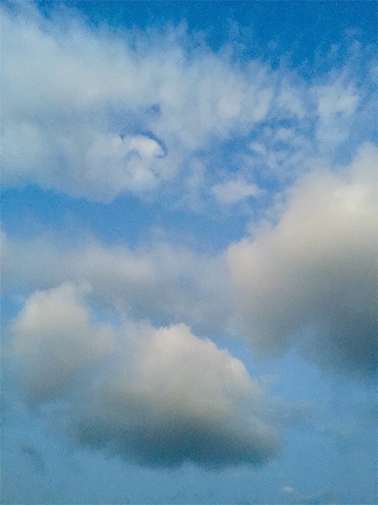 f:id:waxing-and-waning_moon:20151231234210j:image f:id:waxing-and-waning_moon:20151231234210j:image