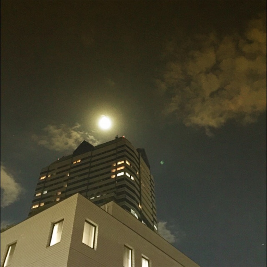 f:id:waxing-and-waning_moon:20160122205957j:image f:id:waxing-and-waning_moon:20160122205957j:image