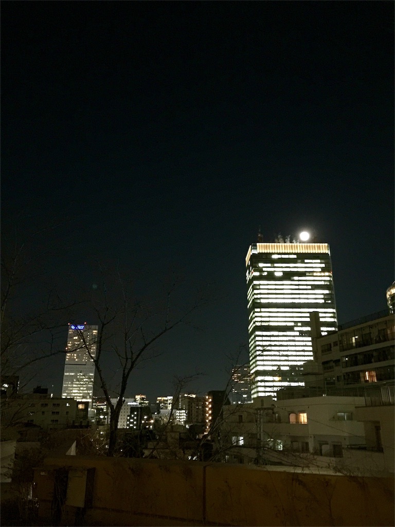 f:id:waxing-and-waning_moon:20160125203906j:image f:id:waxing-and-waning_moon:20160125203906j:image