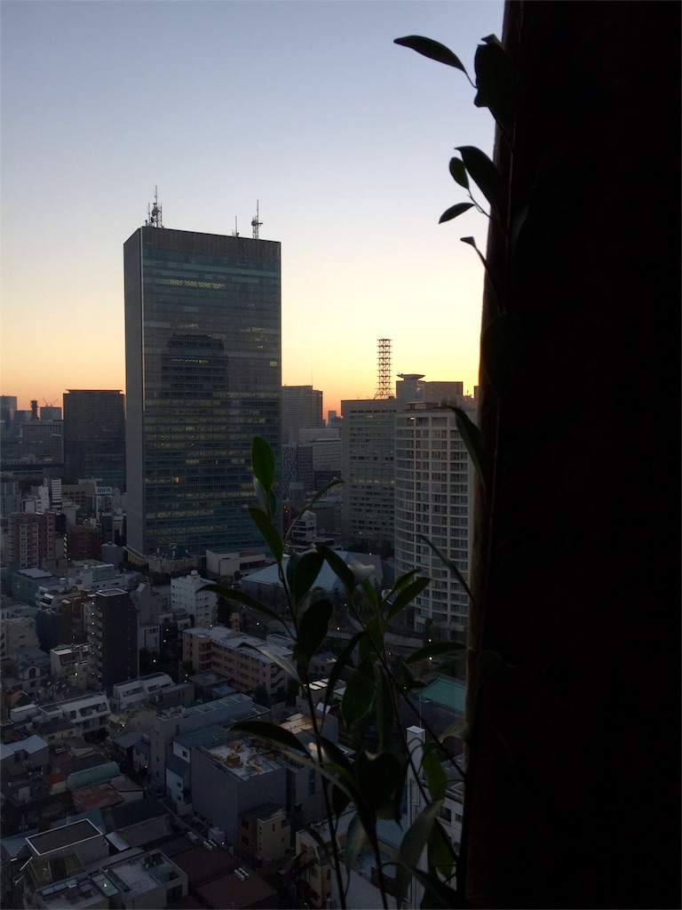 f:id:waxing-and-waning_moon:20160128221538j:image f:id:waxing-and-waning_moon:20160128221538j:image