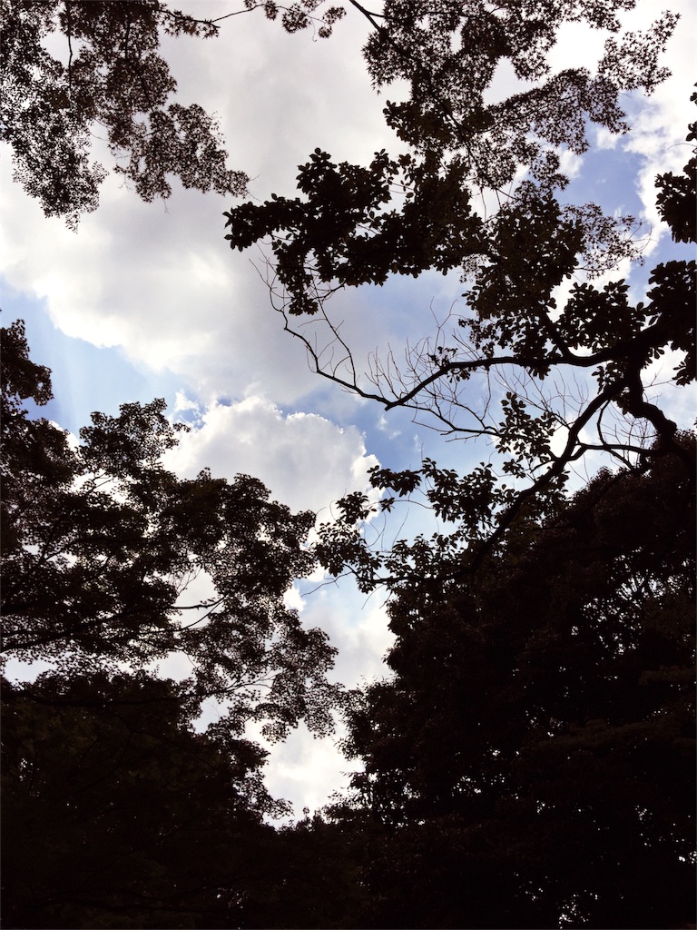 f:id:waxing-and-waning_moon:20160226204849j:image f:id:waxing-and-waning_moon:20160226204849j:image