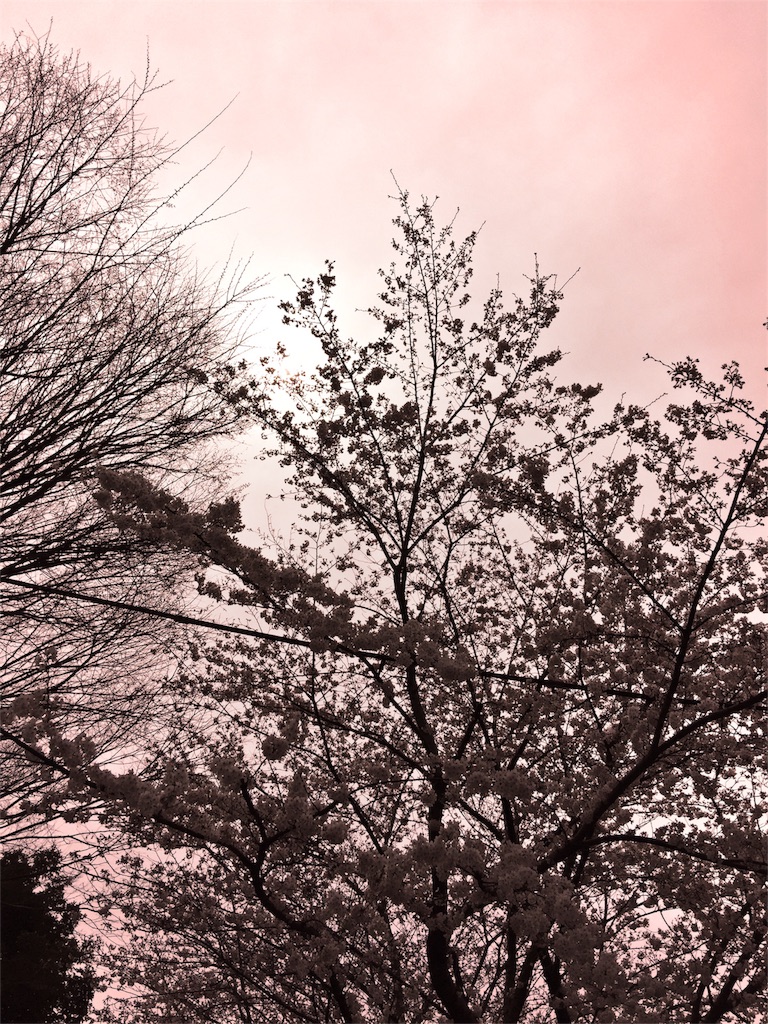 f:id:waxing-and-waning_moon:20160310225637j:image f:id:waxing-and-waning_moon:20160310225637j:image