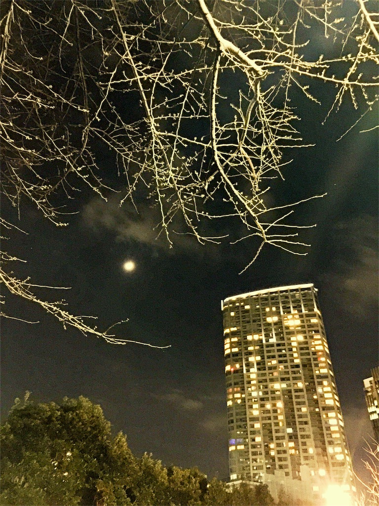 f:id:waxing-and-waning_moon:20160315215738j:image f:id:waxing-and-waning_moon:20160315215738j:image
