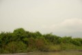 20090708070215