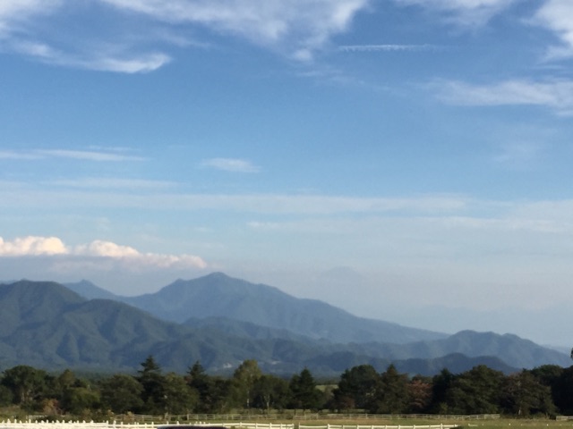 f:id:weekendteatime:20150131205022j:plain f:id:weekendteatime:20150131205022j:plain