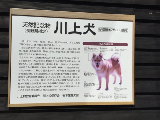 f:id:weekendteatime:20150322012100j:plain f:id:weekendteatime:20150322012100j:plain