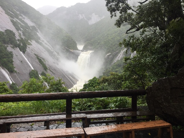 f:id:weekendteatime:20150621232452j:image f:id:weekendteatime:20150621232452j:image