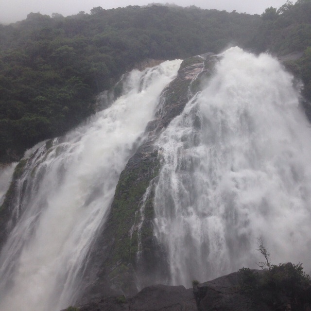 f:id:weekendteatime:20150621232627j:image f:id:weekendteatime:20150621232627j:image