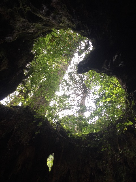 f:id:weekendteatime:20150621234038j:image f:id:weekendteatime:20150621234038j:image