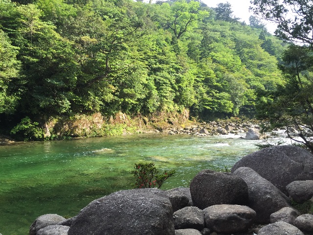 f:id:weekendteatime:20150621235044j:image f:id:weekendteatime:20150621235044j:image