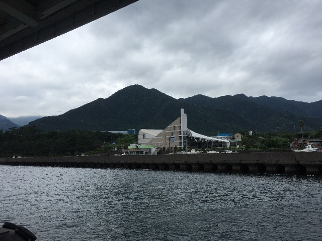 f:id:weekendteatime:20150621235837j:image f:id:weekendteatime:20150621235837j:image