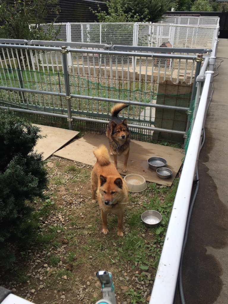 f:id:weekendteatime:20150925141152j:image f:id:weekendteatime:20150925141152j:image