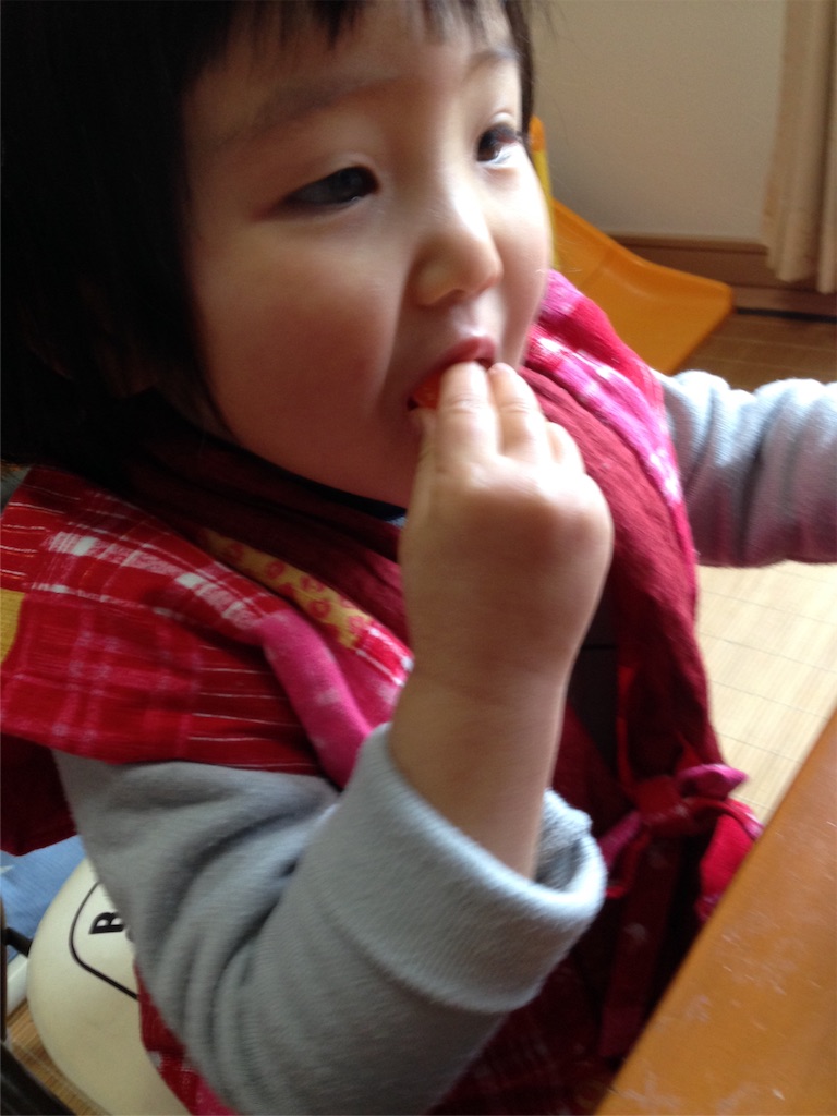 f:id:weliveinjoy:20160213213130j:image f:id:weliveinjoy:20160213213130j:image