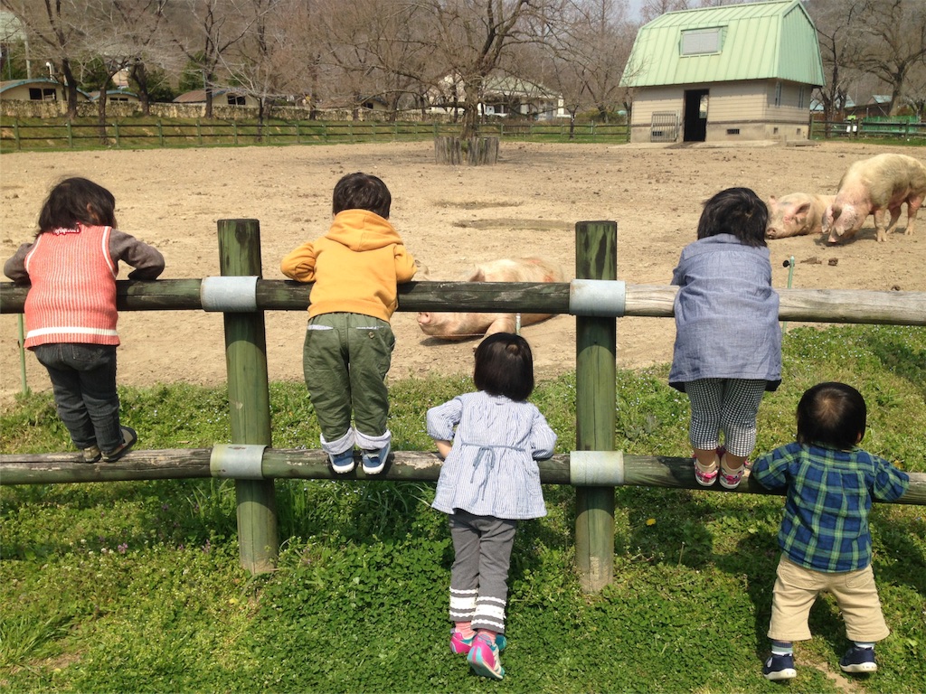 f:id:weliveinjoy:20160323220353j:image f:id:weliveinjoy:20160323220353j:image
