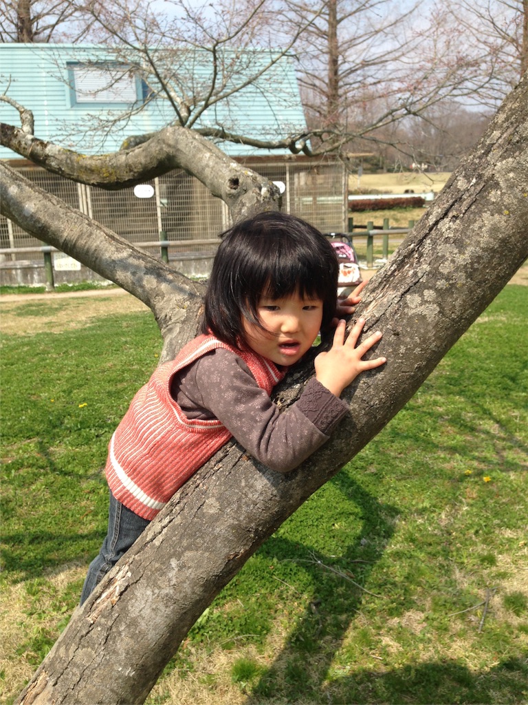 f:id:weliveinjoy:20160323220622j:image f:id:weliveinjoy:20160323220622j:image