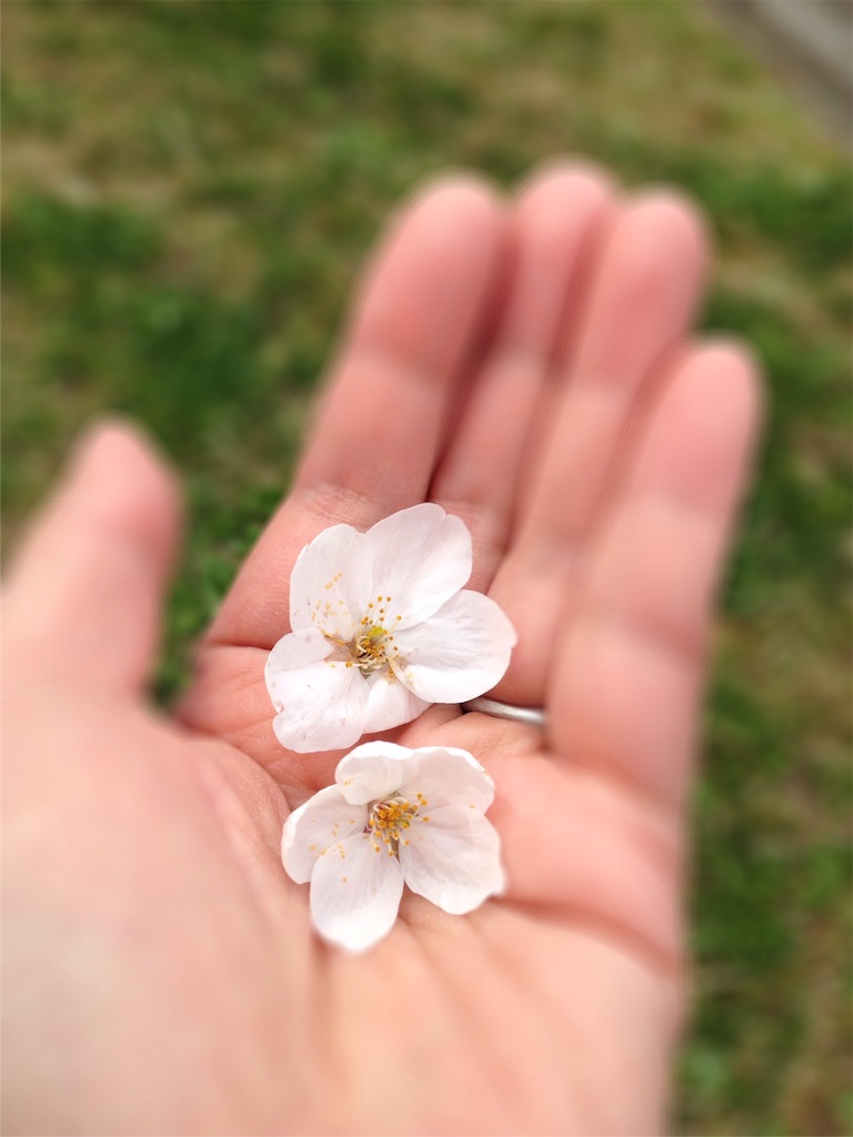f:id:weliveinjoy:20160329193058j:image f:id:weliveinjoy:20160329193058j:image