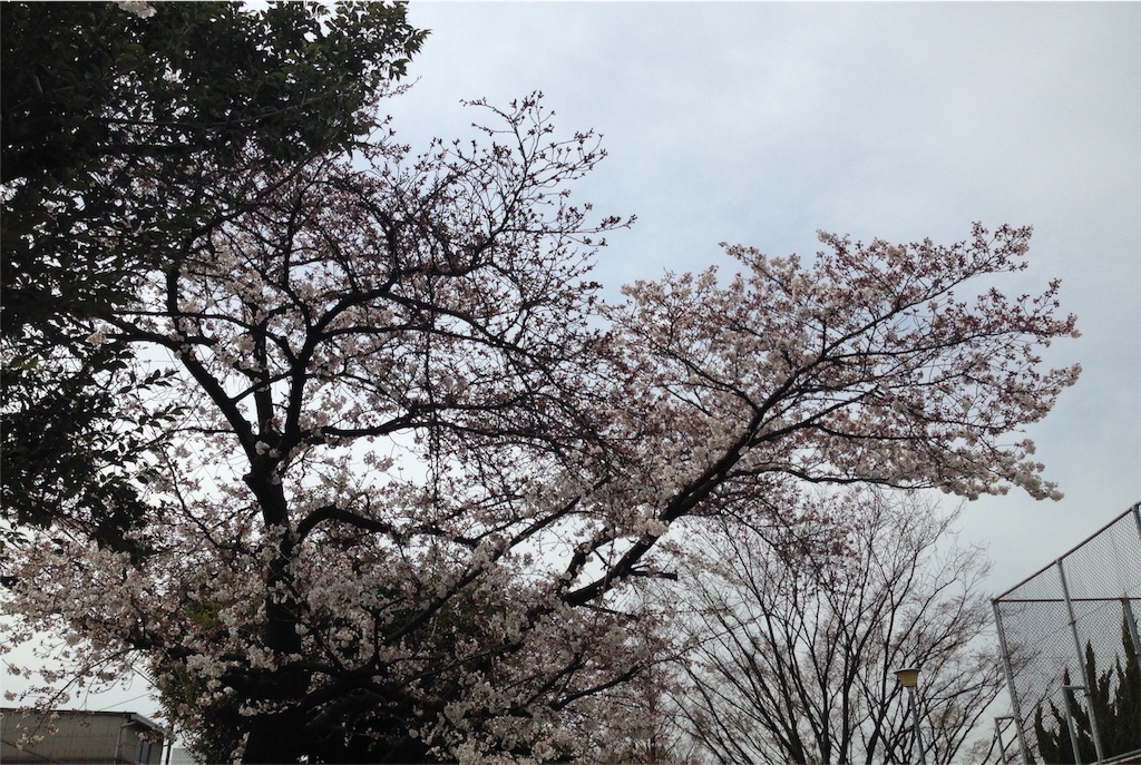f:id:weliveinjoy:20160329193704j:image f:id:weliveinjoy:20160329193704j:image