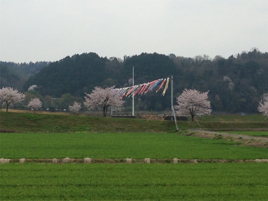 f:id:weliveinjoy:20160402211248j:image f:id:weliveinjoy:20160402211248j:image