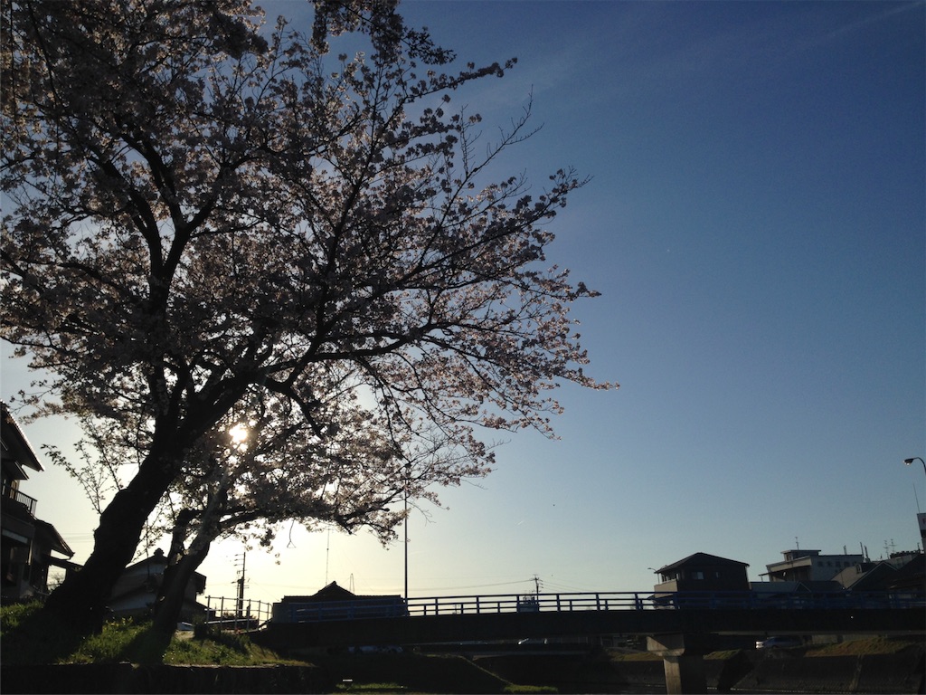 f:id:weliveinjoy:20160405203208j:image f:id:weliveinjoy:20160405203208j:image