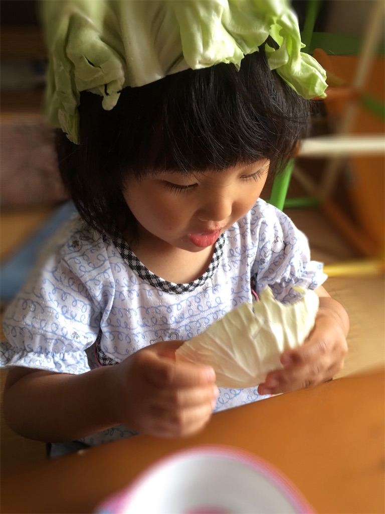 f:id:weliveinjoy:20160526124021j:image f:id:weliveinjoy:20160526124021j:image