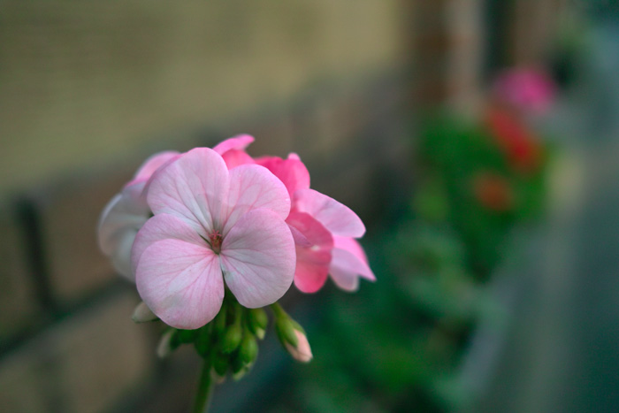 f:id:wellflat:20131223190754j:plain f:id:wellflat:20131223190754j:plain