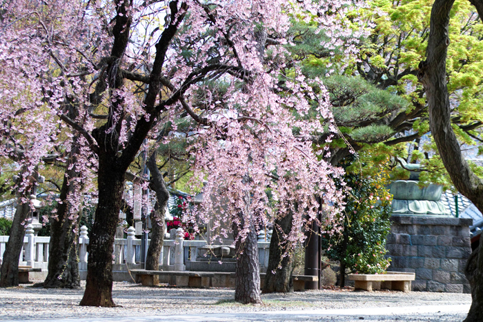 f:id:wellflat:20140406175558j:plain f:id:wellflat:20140406175558j:plain
