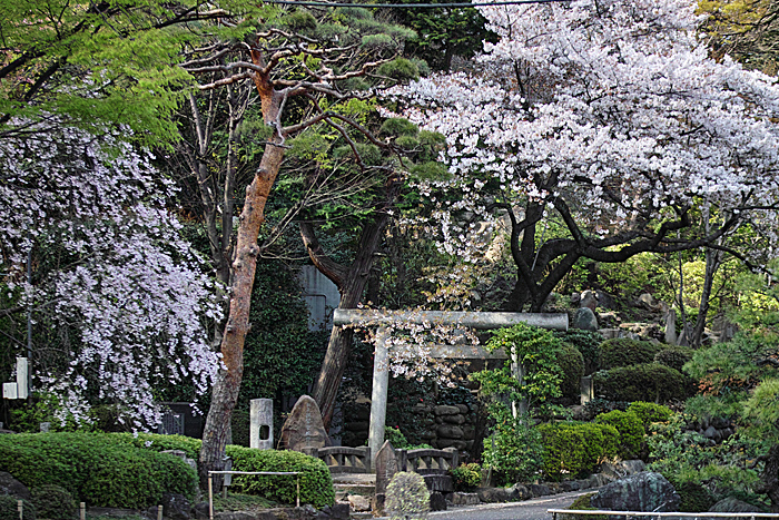 f:id:wellflat:20140406222534j:plain f:id:wellflat:20140406222534j:plain