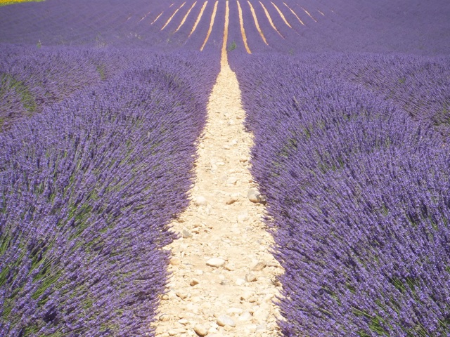 f:id:wellwalk:20140706234915j:plain f:id:wellwalk:20140706234915j:plain