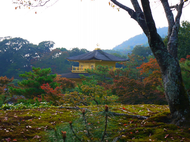 f:id:west06:20111123175033j:image:w320 f:id:west06:20111123175033j:image:w320