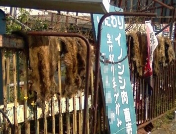 f:id:whitestoner:20121006215531j:image f:id:whitestoner:20121006215531j:image