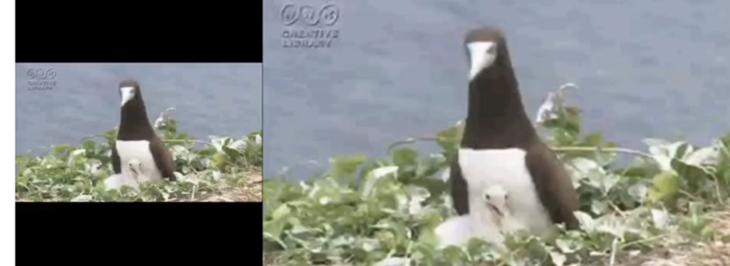 f:id:whoopsidaisies:20140307131230p:plain