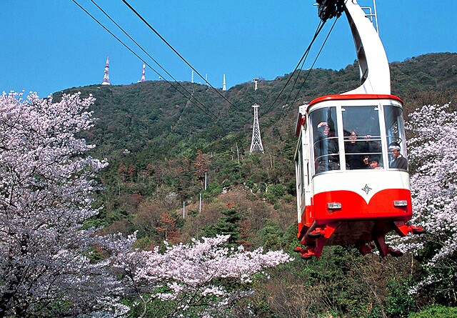 f:id:wide-tree:20160423205629j:image f:id:wide-tree:20160423205629j:image