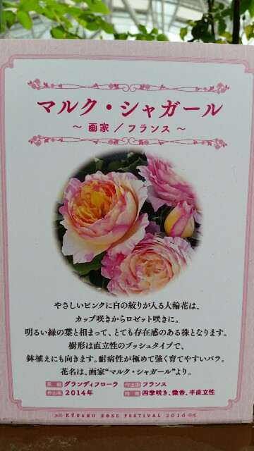 f:id:wide-tree:20160426062831j:image