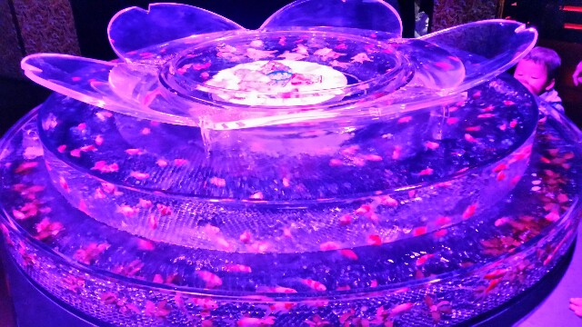 f:id:wide-tree:20160426065010j:image