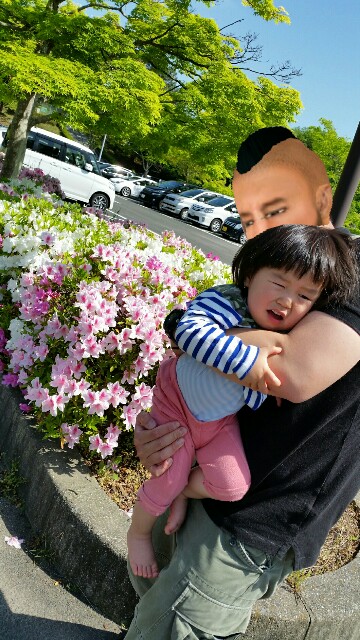 f:id:wide-tree:20160502130100j:image f:id:wide-tree:20160502130100j:image