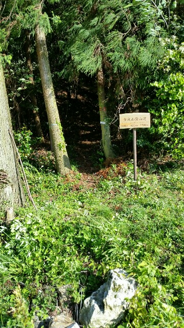 f:id:wide-tree:20160504192950j:image f:id:wide-tree:20160504192950j:image