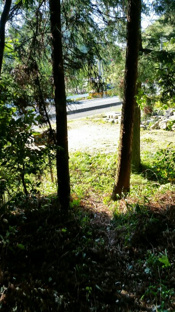 f:id:wide-tree:20160504193803j:image f:id:wide-tree:20160504193803j:image