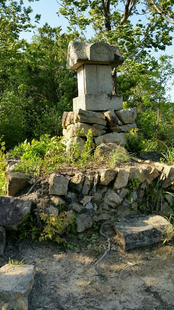 f:id:wide-tree:20160504194336j:image f:id:wide-tree:20160504194336j:image