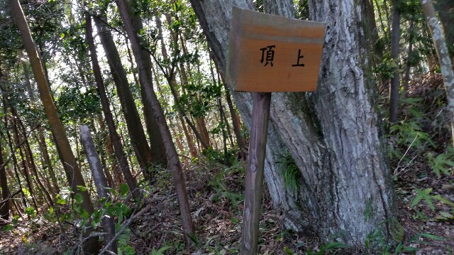 f:id:wide-tree:20160504194400j:image f:id:wide-tree:20160504194400j:image