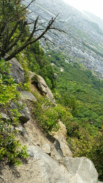 f:id:wide-tree:20160509062858j:image f:id:wide-tree:20160509062858j:image