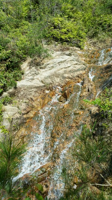 f:id:wide-tree:20160509063333j:image f:id:wide-tree:20160509063333j:image