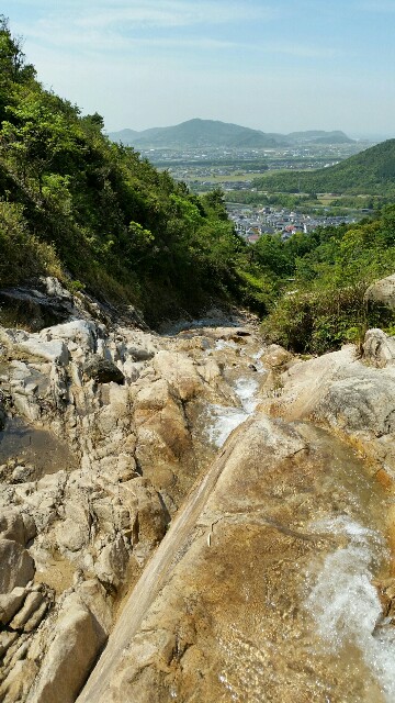 f:id:wide-tree:20160509063841j:image f:id:wide-tree:20160509063841j:image